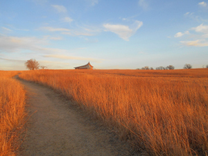 Katherine A. Gould (Omaha, NE), “Prairie Pathway,” Homestead National Monument, Beatrice, NE, March 7, 2014